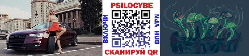 Псилоцибиновые грибы Psilocybe  Туринск 